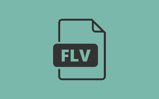 Flv 文件解析